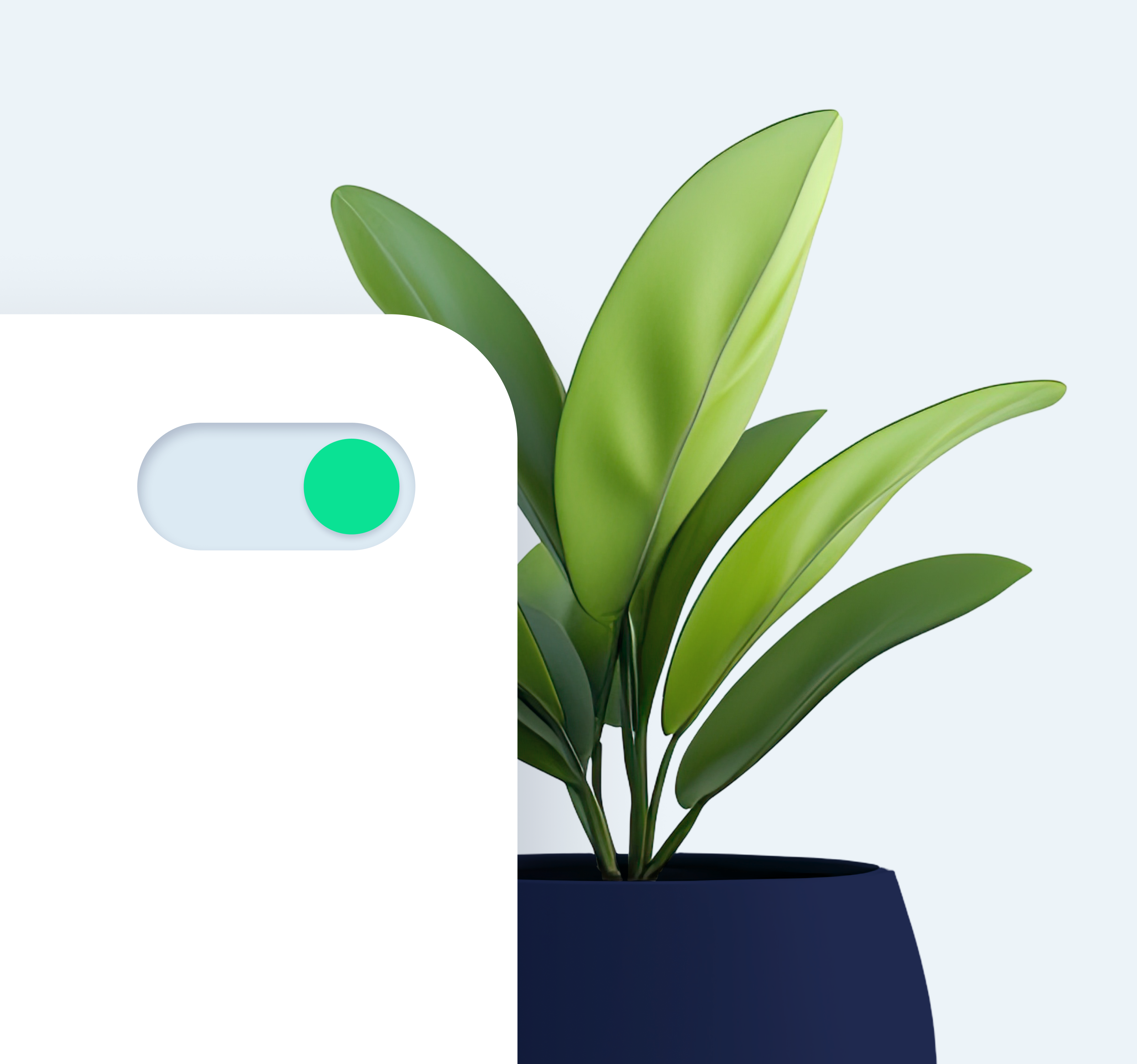 Image épurée d'un pot d'une plante en arrière plan et d'un bouton toggle au premier plan
